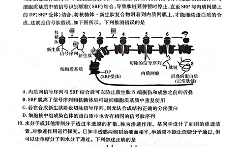 河南省南阳市六校2024-2025学年高一上学期12月月考生物试题_2024年12月试卷_1222河南省南阳市2024年秋期高一年级六校第二次联考
