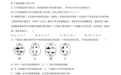 河南新乡市2025-2026学年高一下学期素养测评（一）生物学试题Word版无答案_2026年04月高一试卷_260412百师联盟2025-2026学年高一下学期素养测评（一）