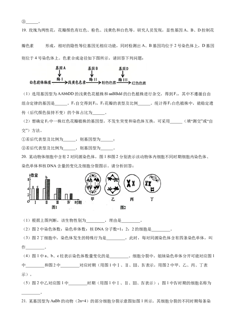 河南新乡市2025-2026学年高一下学期素养测评（一）生物学试题Word版无答案_2026年04月高一试卷_260412百师联盟2025-2026学年高一下学期素养测评（一）