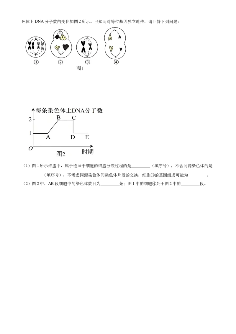 河南新乡市2025-2026学年高一下学期素养测评（一）生物学试题Word版无答案_2026年04月高一试卷_260412百师联盟2025-2026学年高一下学期素养测评（一）