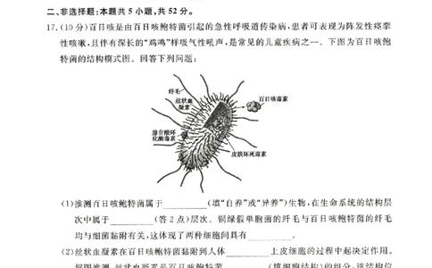 河南省新未来2025-2026学年高一上学期11月期中生物试题含答案_2025年11月高一试卷_251118河南省新未来多校联考2025-2026学年高一上学期11月期中质量检测试题