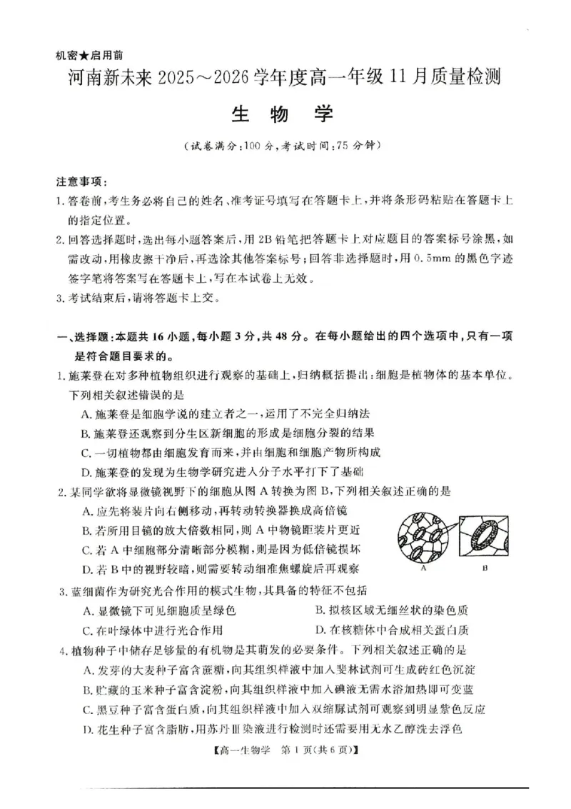 河南省新未来2025-2026学年高一上学期11月期中生物试题含答案_2025年11月高一试卷_251118河南省新未来多校联考2025-2026学年高一上学期11月期中质量检测试题