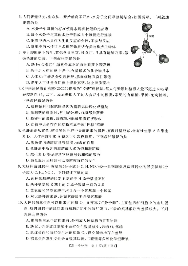 河南省新未来2025-2026学年高一上学期11月期中生物试题含答案_2025年11月高一试卷_251118河南省新未来多校联考2025-2026学年高一上学期11月期中质量检测试题