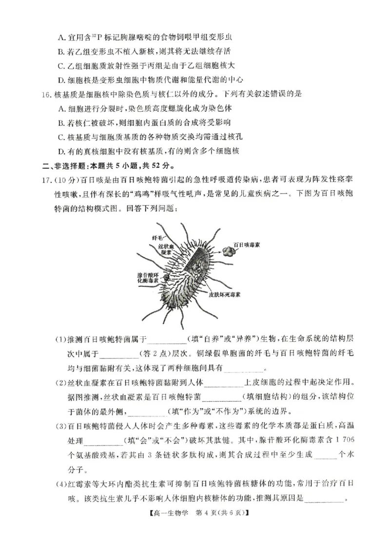 河南省新未来2025-2026学年高一上学期11月期中生物试题含答案_2025年11月高一试卷_251118河南省新未来多校联考2025-2026学年高一上学期11月期中质量检测试题