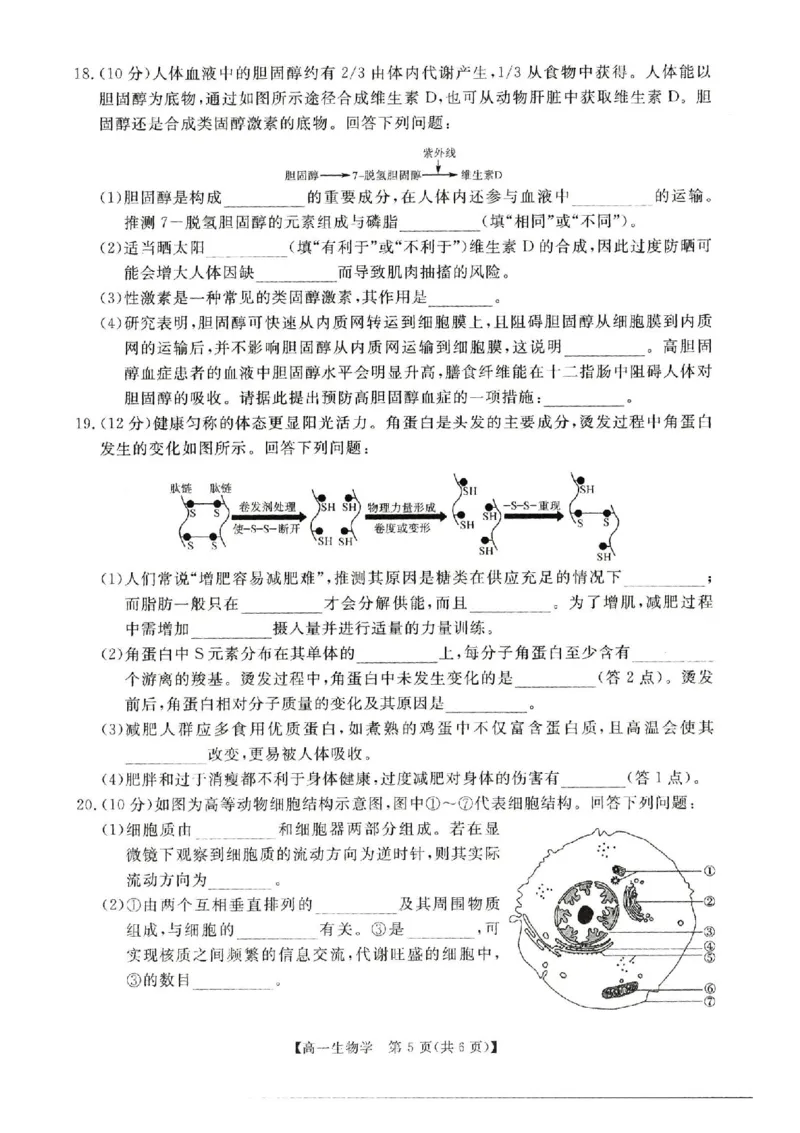 河南省新未来2025-2026学年高一上学期11月期中生物试题含答案_2025年11月高一试卷_251118河南省新未来多校联考2025-2026学年高一上学期11月期中质量检测试题