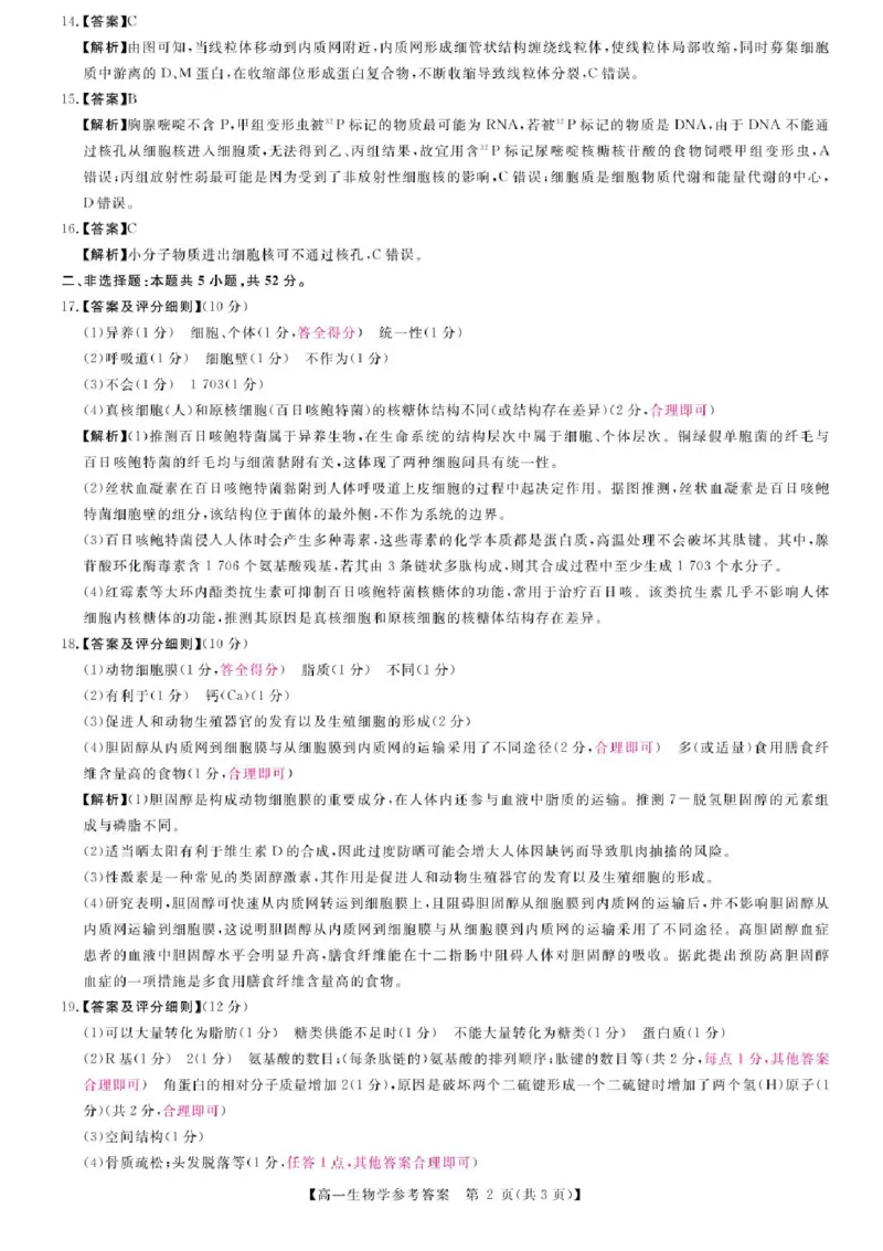 河南省新未来2025-2026学年高一上学期11月期中生物试题含答案_2025年11月高一试卷_251118河南省新未来多校联考2025-2026学年高一上学期11月期中质量检测试题