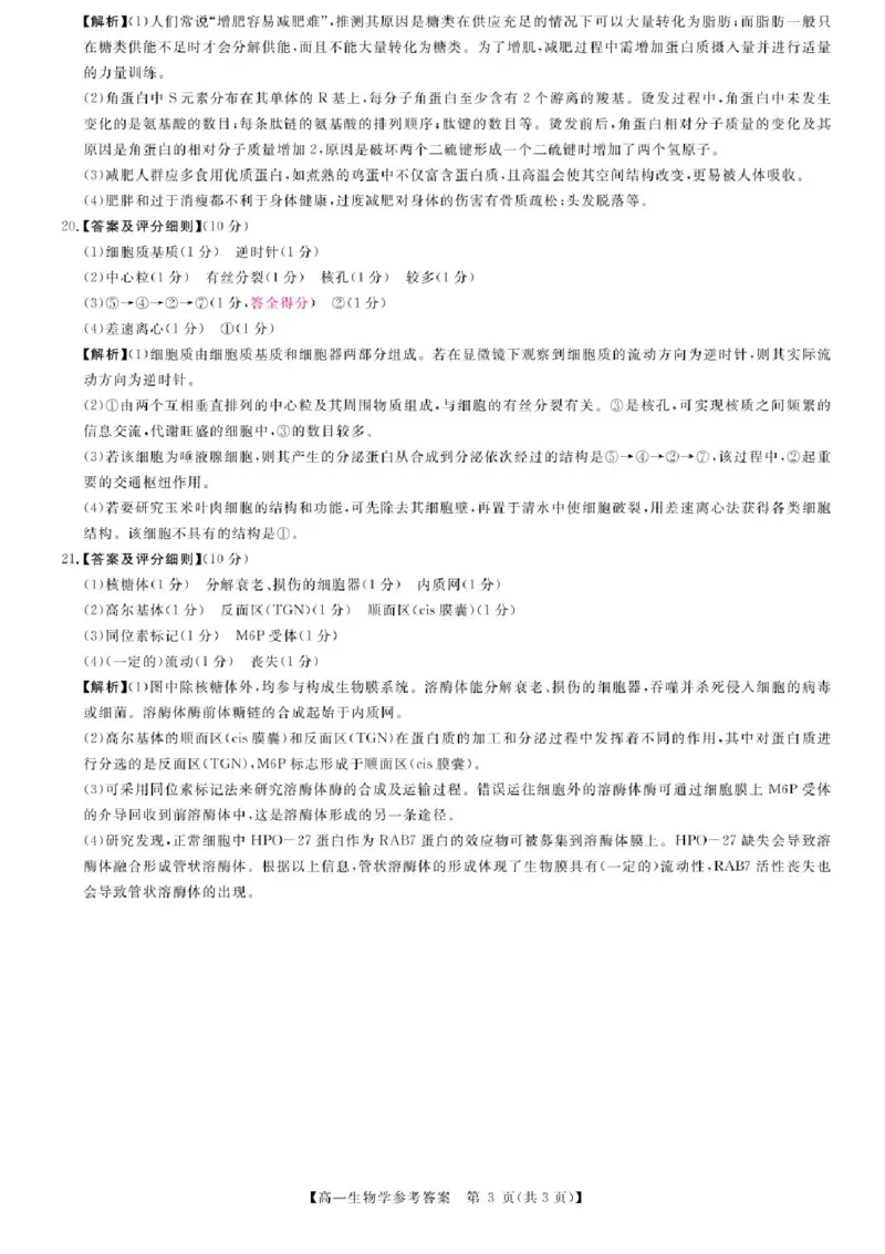 河南省新未来2025-2026学年高一上学期11月期中生物试题含答案_2025年11月高一试卷_251118河南省新未来多校联考2025-2026学年高一上学期11月期中质量检测试题