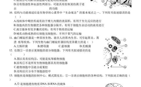 浙江省丽水市五校高中发展共同体2024-2025学年高一上学期11月期中联考生物试题_2024年11月试卷_1123浙江省丽水市五校高中发展共同体2024-2025学年高一上学期11月期中联考