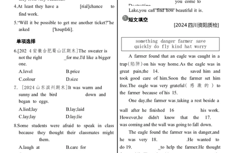 Unit8同步练习-人教版英语七年级下册_最新人教版英语七年级下册_22025人教新版英语视频七下_赠送2025春人教七下课时同步练习