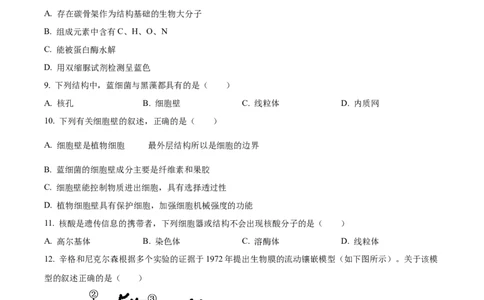 浙江省七彩阳光2025-2026学年高一上学期期中11月生物试卷Word版无答案_2025年12月高一试卷_251207浙江省&rdquo;七彩阳光&ldquo;新高考研究联盟2025-2026学年高一上学期期中（全）