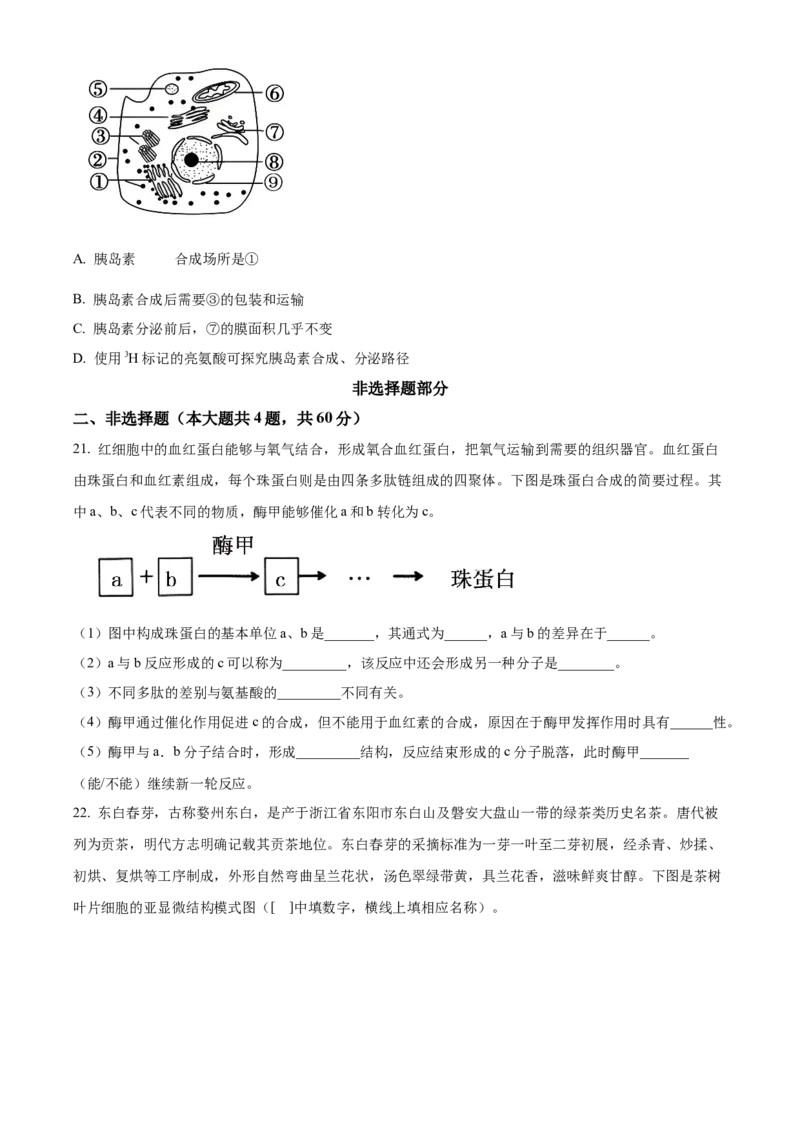 浙江省七彩阳光2025-2026学年高一上学期期中11月生物试卷Word版无答案_2025年12月高一试卷_251207浙江省&rdquo;七彩阳光&ldquo;新高考研究联盟2025-2026学年高一上学期期中（全）