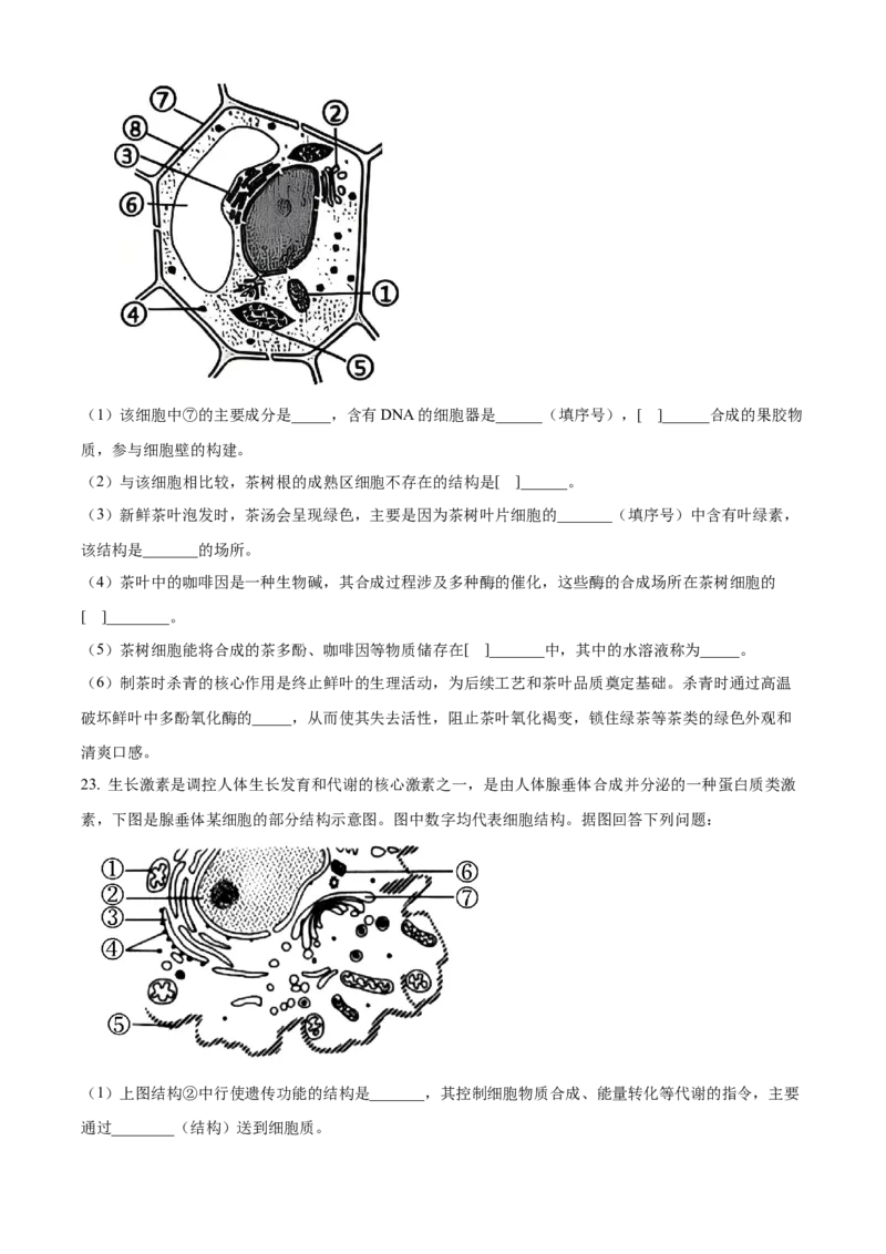 浙江省七彩阳光2025-2026学年高一上学期期中11月生物试卷Word版无答案_2025年12月高一试卷_251207浙江省&rdquo;七彩阳光&ldquo;新高考研究联盟2025-2026学年高一上学期期中（全）