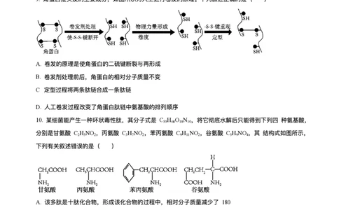 河南省信阳市浉河区信阳高级中学(北湖校区)2025-2026学年高一上学期9月月考生物试题含答案_2025年10月高一试卷_251008河南省信阳市浉河区信阳高级中学2025-2026学年高一上学期9月月考