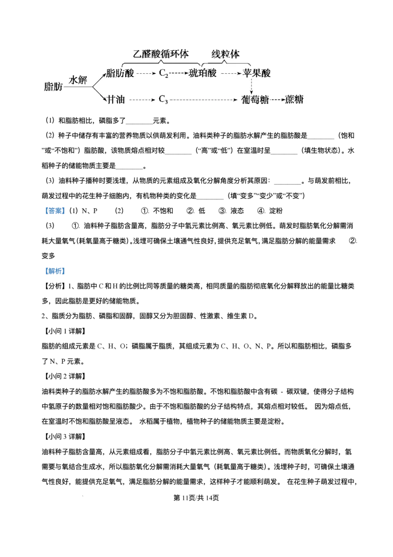 河南省信阳市浉河区信阳高级中学(北湖校区)2025-2026学年高一上学期9月月考生物试题含答案_2025年10月高一试卷_251008河南省信阳市浉河区信阳高级中学2025-2026学年高一上学期9月月考
