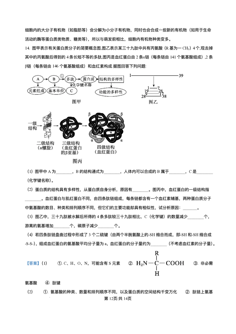 河南省信阳市浉河区信阳高级中学(北湖校区)2025-2026学年高一上学期9月月考生物试题含答案_2025年10月高一试卷_251008河南省信阳市浉河区信阳高级中学2025-2026学年高一上学期9月月考