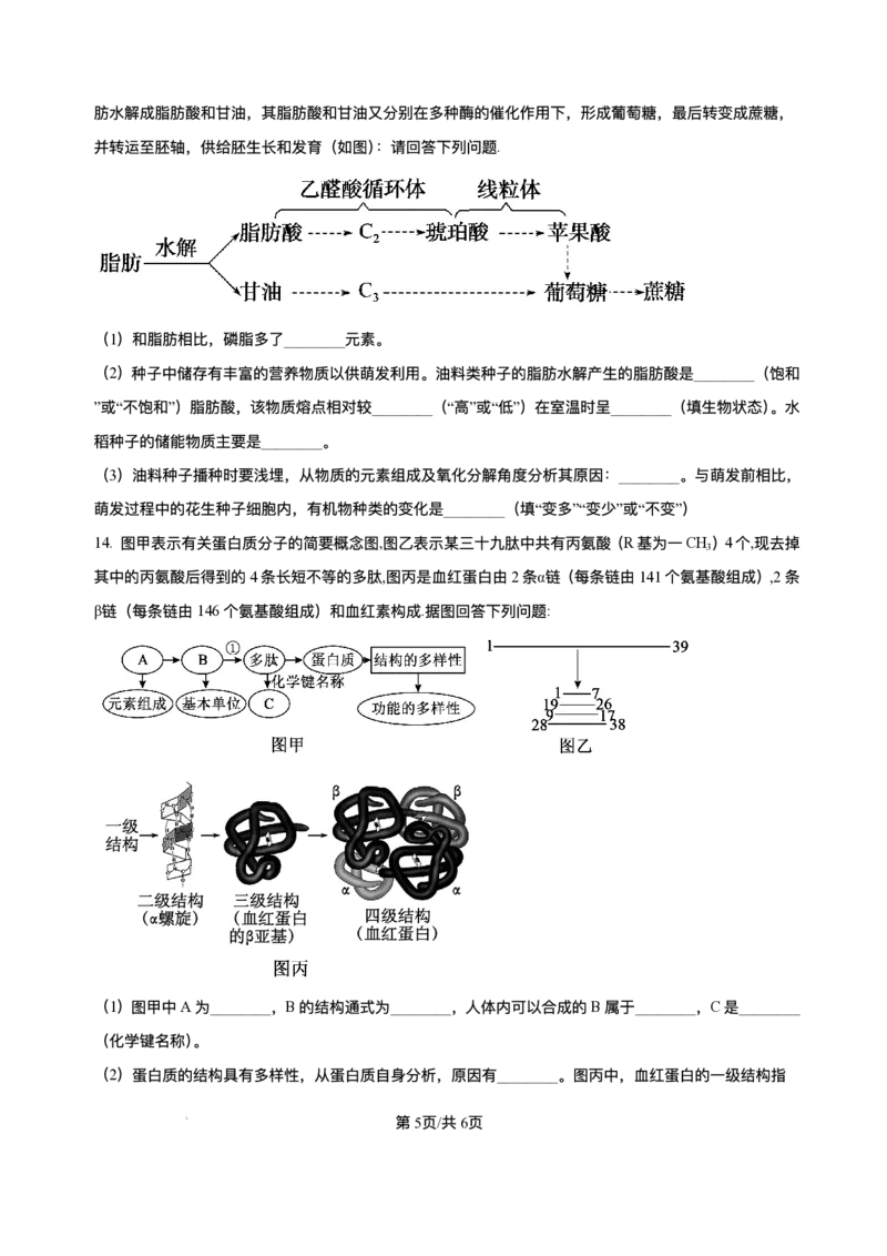河南省信阳市浉河区信阳高级中学(北湖校区)2025-2026学年高一上学期9月月考生物试题含答案_2025年10月高一试卷_251008河南省信阳市浉河区信阳高级中学2025-2026学年高一上学期9月月考