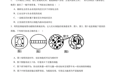 河南省郑州外国语学校2025-2026学年高一上学期10月月考试题生物Word版含答案_2025年10月高一试卷_251031河南省郑州外国语学校2025-2026学年高一上学期10月月考试题
