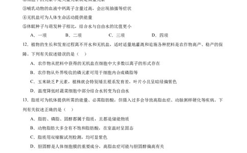 河南省郑州外国语学校2025-2026学年高一上学期10月月考试题生物Word版含答案_2025年10月高一试卷_251031河南省郑州外国语学校2025-2026学年高一上学期10月月考试题