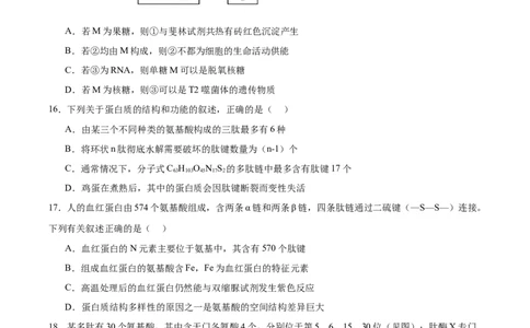 河南省郑州外国语学校2025-2026学年高一上学期10月月考试题生物Word版含答案_2025年10月高一试卷_251031河南省郑州外国语学校2025-2026学年高一上学期10月月考试题