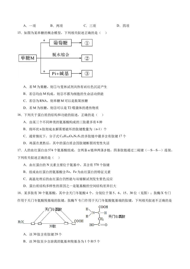 河南省郑州外国语学校2025-2026学年高一上学期10月月考试题生物Word版含答案_2025年10月高一试卷_251031河南省郑州外国语学校2025-2026学年高一上学期10月月考试题