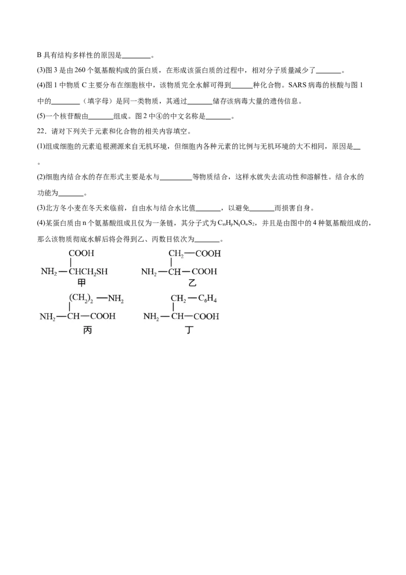 河南省郑州外国语学校2025-2026学年高一上学期10月月考试题生物Word版含答案_2025年10月高一试卷_251031河南省郑州外国语学校2025-2026学年高一上学期10月月考试题
