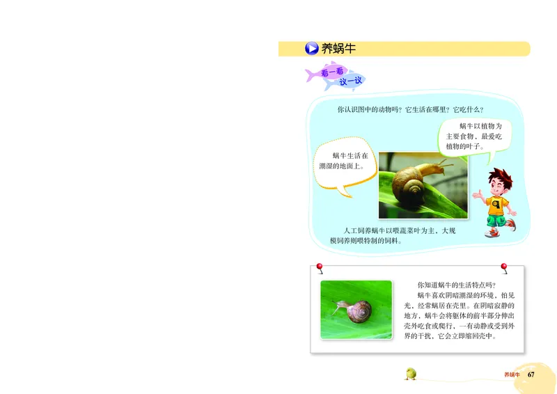 劳动技术三上_电子课本_小学电子课本_11劳动技术_北京版