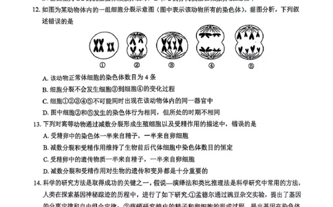 河南省驻马店市环际大联考&ldquo;逐梦计划&rdquo;2024-2025学年度第二学期阶段考试高一第一次月考生物试题及答案解析环际大联考&ldquo;逐梦计划&rdquo;2024-2025学年度第二学期阶段考试高一生物试题