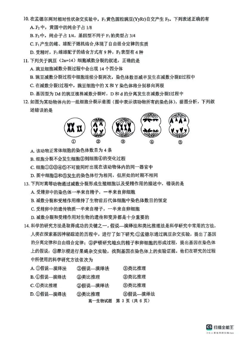 河南省驻马店市环际大联考&ldquo;逐梦计划&rdquo;2024-2025学年度第二学期阶段考试高一第一次月考生物试题及答案解析环际大联考&ldquo;逐梦计划&rdquo;2024-2025学年度第二学期阶段考试高一生物试题