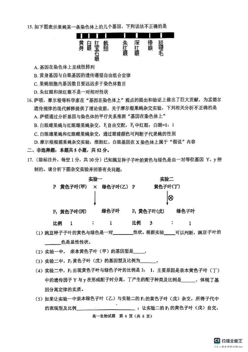 河南省驻马店市环际大联考&ldquo;逐梦计划&rdquo;2024-2025学年度第二学期阶段考试高一第一次月考生物试题及答案解析环际大联考&ldquo;逐梦计划&rdquo;2024-2025学年度第二学期阶段考试高一生物试题