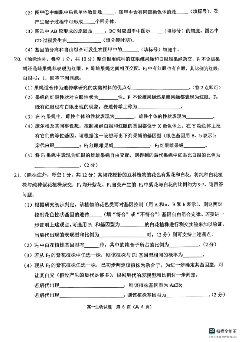 河南省驻马店市环际大联考&ldquo;逐梦计划&rdquo;2024-2025学年度第二学期阶段考试高一第一次月考生物试题及答案解析环际大联考&ldquo;逐梦计划&rdquo;2024-2025学年度第二学期阶段考试高一生物试题
