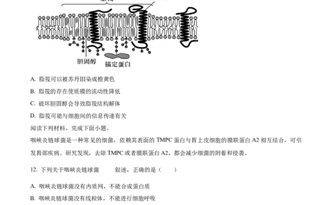 浙江省ZDB联盟2025-2026学年高一上学期11月期中生物试题Word版无答案_2025年11月高一试卷_251127浙江省浙东北县域名校发展联盟2025-2026学年高一上学期11月期中联考试题（ZDB）（全）