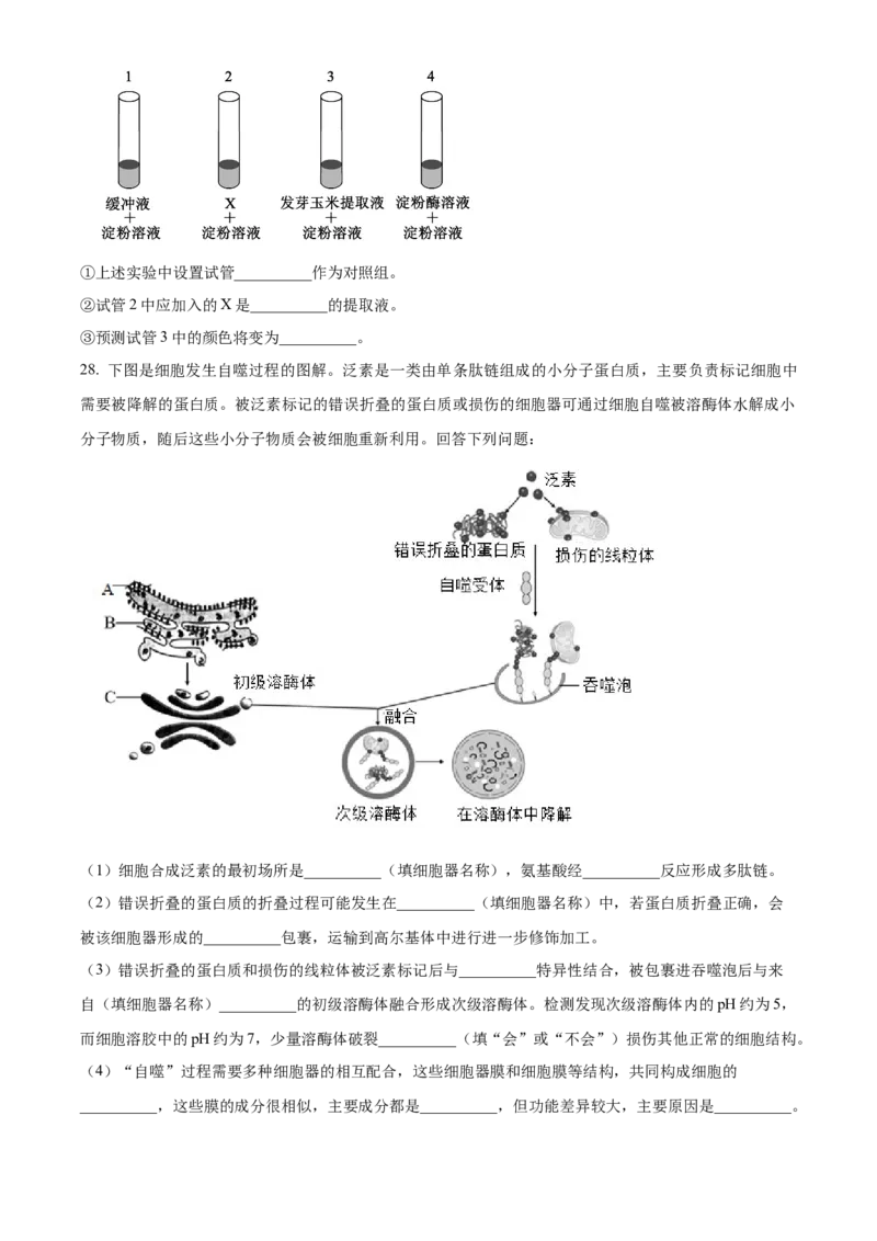 浙江省ZDB联盟2025-2026学年高一上学期11月期中生物试题Word版无答案_2025年11月高一试卷_251127浙江省浙东北县域名校发展联盟2025-2026学年高一上学期11月期中联考试题（ZDB）（全）