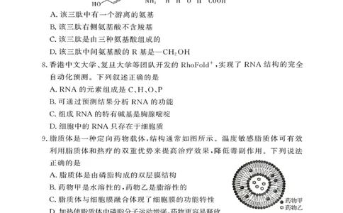 河南省湘豫名校联考2025-2026学年高一上学期12月月考生物试题含答案_2025年12月高一试卷_251219湘豫名校联考2025-2026学年高一(上)12月阶段性质量检测（全）