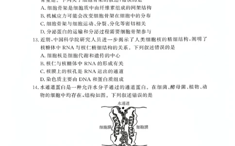 河南省湘豫名校联考2025-2026学年高一上学期12月月考生物试题含答案_2025年12月高一试卷_251219湘豫名校联考2025-2026学年高一(上)12月阶段性质量检测（全）