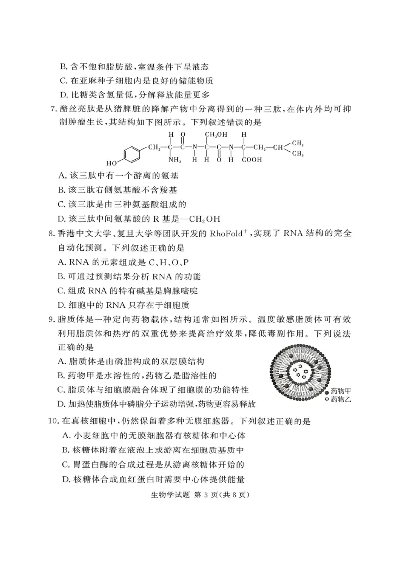 河南省湘豫名校联考2025-2026学年高一上学期12月月考生物试题含答案_2025年12月高一试卷_251219湘豫名校联考2025-2026学年高一(上)12月阶段性质量检测（全）