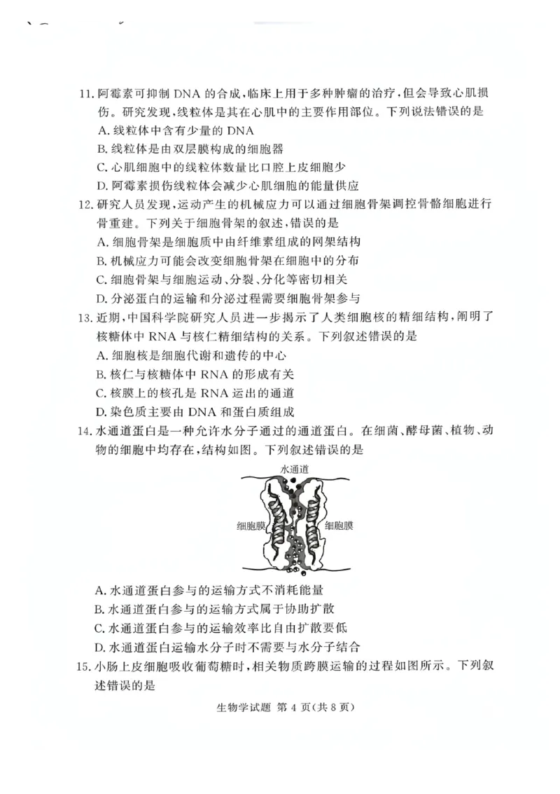 河南省湘豫名校联考2025-2026学年高一上学期12月月考生物试题含答案_2025年12月高一试卷_251219湘豫名校联考2025-2026学年高一(上)12月阶段性质量检测（全）