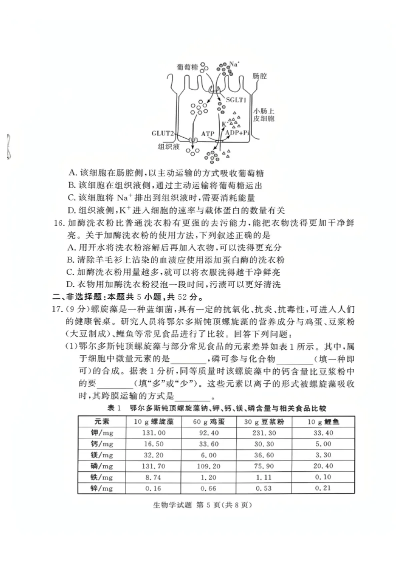 河南省湘豫名校联考2025-2026学年高一上学期12月月考生物试题含答案_2025年12月高一试卷_251219湘豫名校联考2025-2026学年高一(上)12月阶段性质量检测（全）
