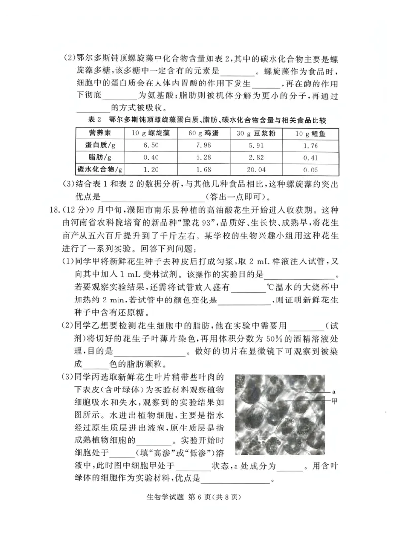 河南省湘豫名校联考2025-2026学年高一上学期12月月考生物试题含答案_2025年12月高一试卷_251219湘豫名校联考2025-2026学年高一(上)12月阶段性质量检测（全）
