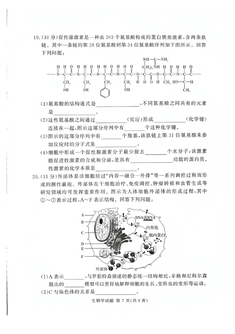 河南省湘豫名校联考2025-2026学年高一上学期12月月考生物试题含答案_2025年12月高一试卷_251219湘豫名校联考2025-2026学年高一(上)12月阶段性质量检测（全）