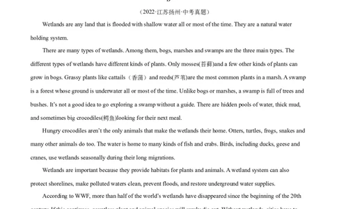 Unit8（B卷&middot;能力提升）-单元测试九年级全一册分层训练AB卷（人教版）（解析版）_最新人教版英语九年级全册_新更新初中英语9全_07习题试卷_（2）单元试卷_单元测试卷2
