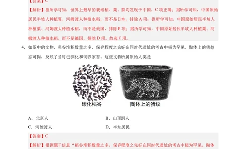 七年级历史上学期期中测试卷01（解析版）_新版初中_最新历史七年级上册_12七上历史习题试卷_期中试卷_七年级历史上学期期中测试卷01-备战2024-2025学年七年级历史上学期期中