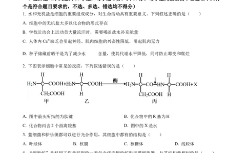 浙江省丽水发展共同体2025-2026学年高一上学期11月期中生物试题Word版无答案_2025年12月高一试卷_251210浙江省丽水发展共同体2025-2026学年高一上学期11月期中（全）