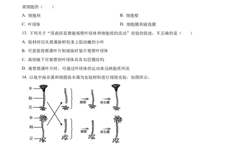 浙江省丽水发展共同体2025-2026学年高一上学期11月期中生物试题Word版无答案_2025年12月高一试卷_251210浙江省丽水发展共同体2025-2026学年高一上学期11月期中（全）