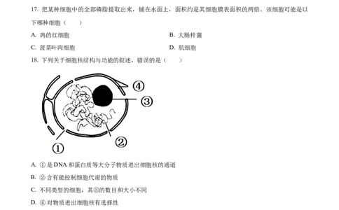 浙江省丽水发展共同体2025-2026学年高一上学期11月期中生物试题Word版无答案_2025年12月高一试卷_251210浙江省丽水发展共同体2025-2026学年高一上学期11月期中（全）