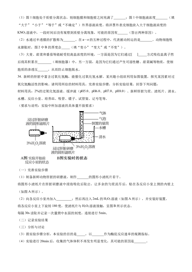 浙江省丽水发展共同体2025-2026学年高一上学期11月期中生物试题Word版无答案_2025年12月高一试卷_251210浙江省丽水发展共同体2025-2026学年高一上学期11月期中（全）