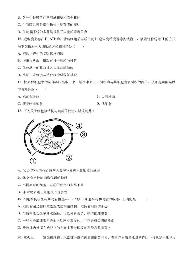 浙江省丽水发展共同体2025-2026学年高一上学期11月期中生物试题Word版无答案_2025年12月高一试卷_251210浙江省丽水发展共同体2025-2026学年高一上学期11月期中（全）