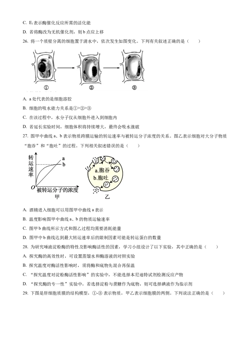 浙江省丽水发展共同体2025-2026学年高一上学期11月期中生物试题Word版无答案_2025年12月高一试卷_251210浙江省丽水发展共同体2025-2026学年高一上学期11月期中（全）