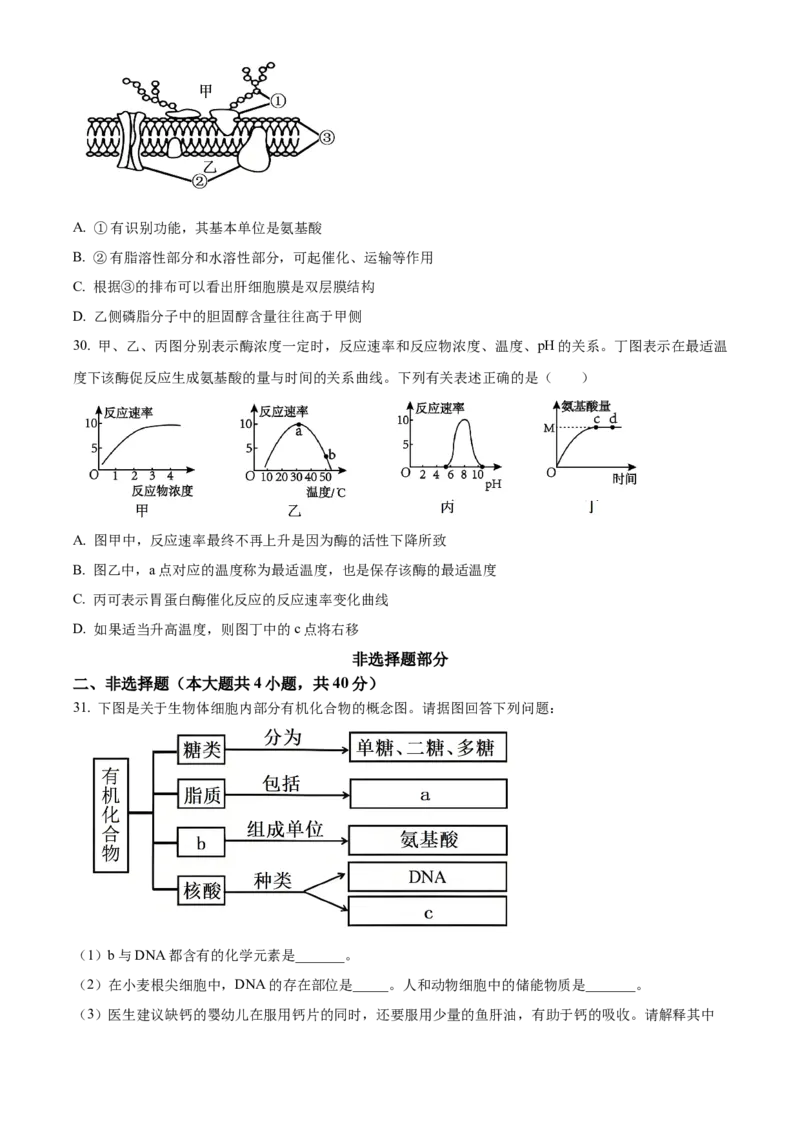 浙江省丽水发展共同体2025-2026学年高一上学期11月期中生物试题Word版无答案_2025年12月高一试卷_251210浙江省丽水发展共同体2025-2026学年高一上学期11月期中（全）