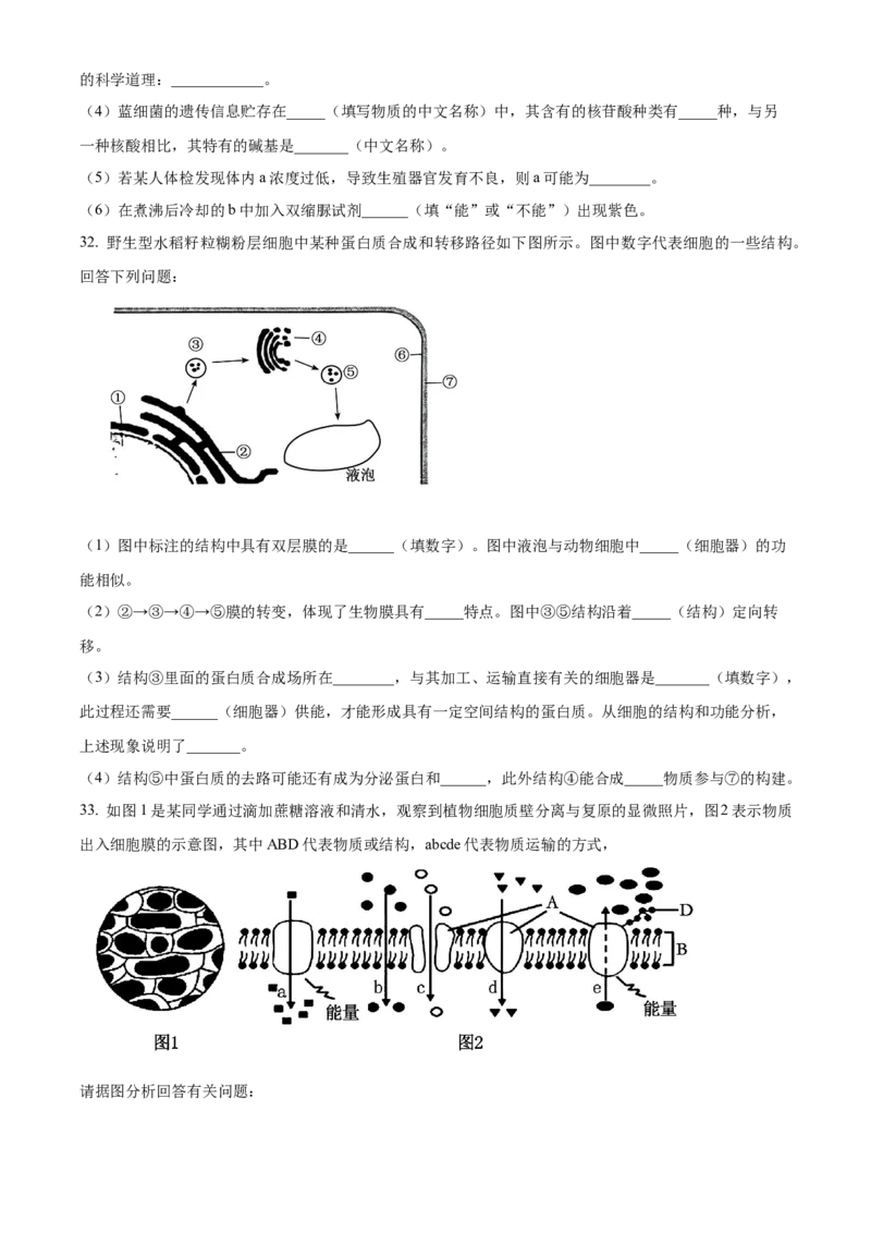 浙江省丽水发展共同体2025-2026学年高一上学期11月期中生物试题Word版无答案_2025年12月高一试卷_251210浙江省丽水发展共同体2025-2026学年高一上学期11月期中（全）