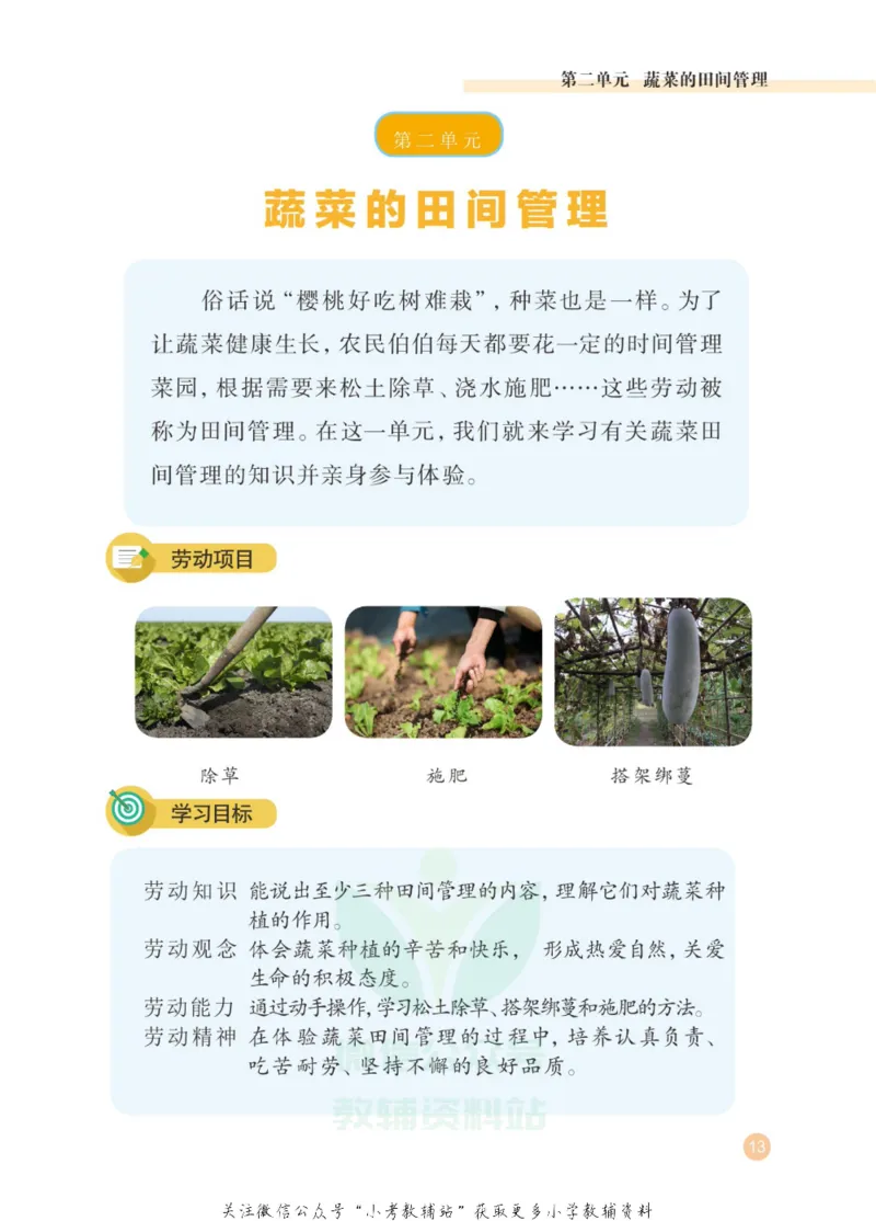 劳动教育3年级上册_电子课本_小学电子课本_11劳动技术_武汉版